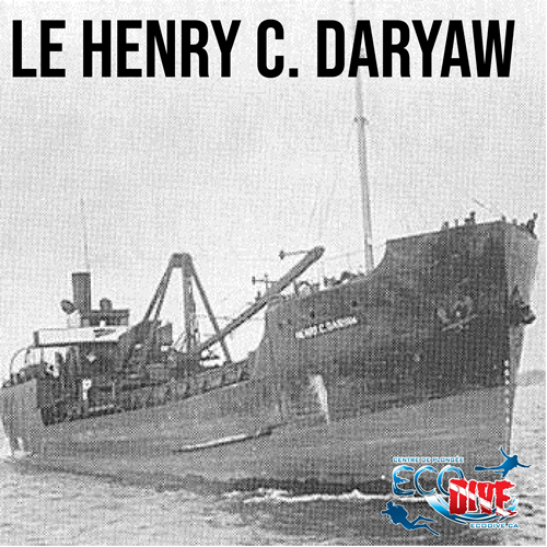 Excursions de 2 Plongées -  Henry C. Daryaw + Lili Parsons